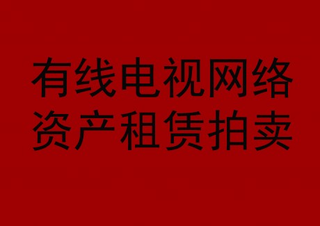 博望區(qū)有線電視網絡資產租賃拍賣公告